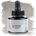 Royal Talens Talens Pantone marker tinta, 30 ml - cool gray 1