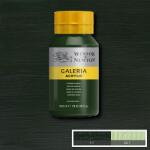 Winsor & Newton Galeria akrilfesték, 500 ml - 311, hooker's green