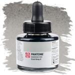 Talens Pantone marker tinta, 30 ml - cool gray 2