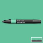 Winsor & Newton ProMarker kétvégű alkoholos filctoll - G637, mint green