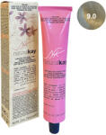 Natural Kay Vopsea vegana 9.0 Very Light Blonde, 100ml, Natural Kay