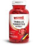 AdNatura Tribulus Terrestris Extract, 60 capsule, AdNatura
