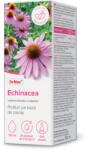Dr. Max Echinacea Picaturi, 100ml