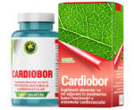 Hypericum Plant Cardiobor, 60 capsule, Hypericum