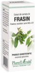 PlantExtrakt Extract din seminte de frasin, 50ml, PlantExtrakt