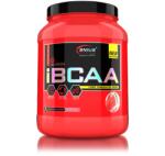 Genius Nutrition Aminoacizi cu aroma de pepene rosu IBCAA, 450g, Genius Nutrition