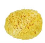 Dr. Brown's Burete natural de mare Honeycomb Spugnificio Bellini nr. 12, 1 bucata, Dr. Brown's