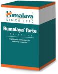 Himalaya Rumalaya Forte, 60 tablete, Himalaya - drmax