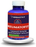 Herbagetica Reumatofit, 120 capsule, Herbagetica