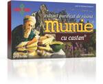 Damar General Trading Extract purificat de rasina Mumie cu Castan, 60 tablete, Damar