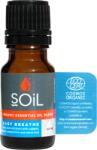 Soil Amestec uleiuri esentiale Respiratie Usoara, 10ml, Soil - drmax