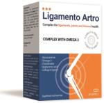 MBA Pharma Ligamento Artro, 60 capsule, MBA Pharma