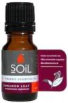 Soil Ulei Esential Scortisoara (Cinnamomum zeylanicum) 100% Organic Ecocert, 10ml, Soil