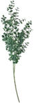 Clayre & Eef Set 3 buchete Eucalipt artificial 8x3x70 cm (5PL0084)