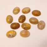  Fosszilis Korall (1) Ovális Marokkő Kaboson ~19-20x15x7mm