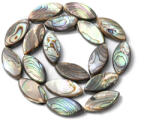  Abalone Paua Kagyló (3) Gyöngy 22x11-13x4-6mm