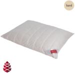 HEFEL Wellness Zirbe fejpárna 70x90 cm