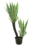  EUROPALMS Orchid-Cactus, artificial plant, 160cm (82809035)