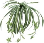 EUROPALMS Spider plant, artificial, 60cm (82505721)