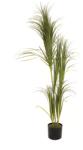  EUROPALMS Dracena bush, artificial, 215cm (82505760)