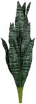  EUROPALMS Snake Tongue (EVA), artificial, green, 60cm (82530591)