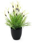  EUROPALMS Feather lettuce, artificial, 40cm (82505639)