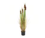 EUROPALMS Bulrush, artificial plant, 150cm (82600115)