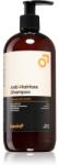Beviro Anti-Hairloss Shampoo șampon impotriva caderii parului pentru barbati 500 ml