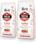 Brit Fresh beef with pumpkin puppy large 24 kg (2 x 12 kg)