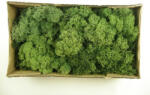  Muschi Islanda, verde, 500 gr (Z046.101402010)