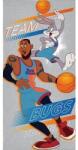 Space Jam törölköző