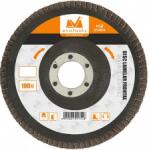 Evotools Disc lamelar frontal de 115 mm cu granulatie 60G, pentru polizoare unghiulare manuale. Lamele radiale din granule abrazive pe suport textil, fixate pe taler din fibra de sticla armata cu liant polimer
