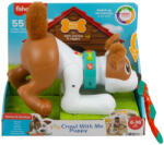 Mattel Fisher Price Catelus Crawl With Me (mthhh18)