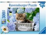 Ravensburger Kicsi cicák XXL puzzle 300 db-os (12894)