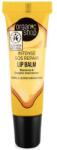 Organic Shop Collagen Filler Ajakbalzsam méhviasszal és bio shea vajjal 10 ml