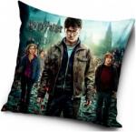 Dadka Párnahuzat Harry Potter és a varázslók (POVLAK-POVLAK002A)