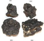  Goetit 48-82 x 25-63 x 24-50 mm - Mineral Natural Brut - ( XXL ) - 1 Buc