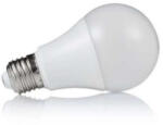  Led izzó E27 12W 806lumen
