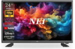 NEI 24NE4900