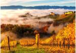 Enjoy 2064 - In the Vineyards - 1000 db-os puzzle (2064)