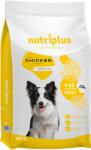  Nutriplus 2x15kg Nutriplus Adult Dog csirke száraz kutyatáp