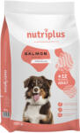  Nutriplus 15kg Nutriplus Adult Dog lazac száraz kutyatáp