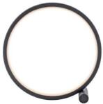 Neuhaus Lighting Group JUST LIGHT. 15395-18 - LED Asztali lámpa MINI RITUS LED/10, 5W/230V fekete 15395-18 (W4580)