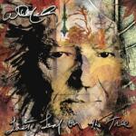 Willie Nelson - Last Leaf On The Tree (Amber Swirl Coloured) (2 LP) (0198028368810)