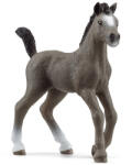 Schleich Cseval de Selle Francais csikó