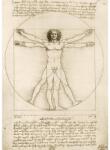 Bluebird Puzzle 60211 - Leonardo Da Vinci - The Vitruvian Man 1490 - 1000 db-os Art by puzzle (60211)