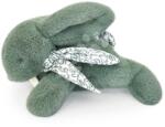 Doudou Iepuraș de pluș Bunny Green Doudou et Compagnie verde 25 cm de la 0 luni (DC4143)