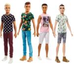 Mattel Brb Modell Ken Asst