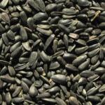  AVICENTRA Semințe negre de floarea-soarelui - 1kg