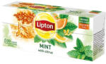 Lipton Herbatea LIPTON Citrus-Menta 20 filter/doboz - papir-bolt
